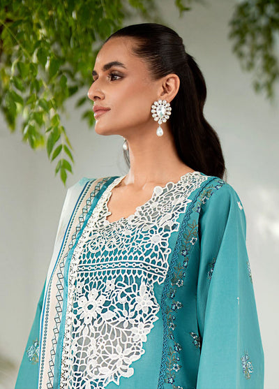 Riwaayat By Bin Ilyas Unstitched Spring Summer Collection 2024 306 B