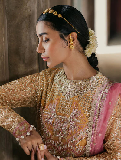 Roheenaz Pheli Si Muhabbat Wedding Unstitched Collection 2024 Afreen