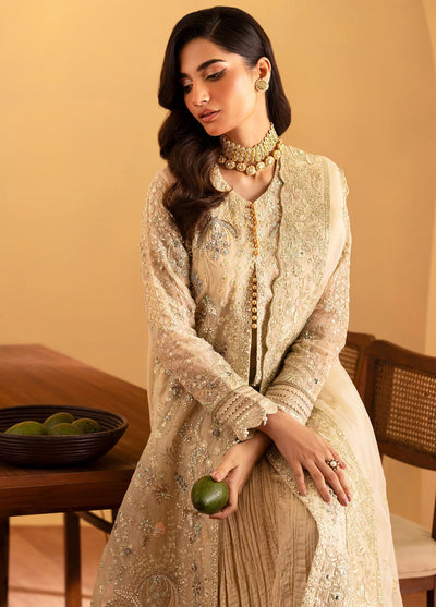 Romansiyyah By Emaan Adeel Embroidered Organza Suit Unstitched 3 Piece EA24R Zafia - Formal Collection