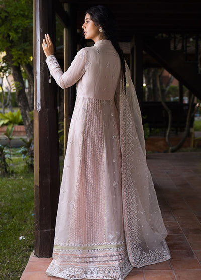 Roohi By Mushq Unstitched Luxury Collection 2024 Anika