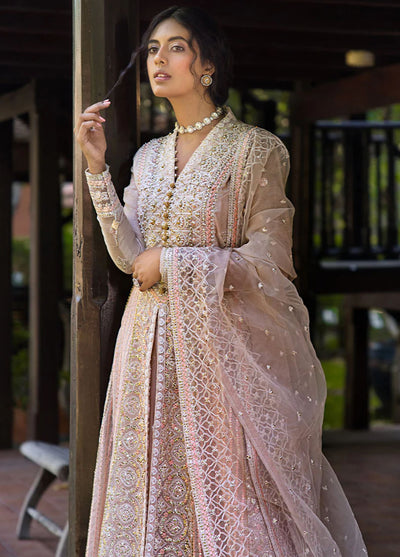 Roohi By Mushq Unstitched Luxury Collection 2024 Anika