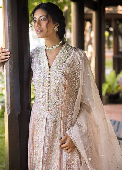 Roohi By Mushq Unstitched Luxury Collection 2024 Anika