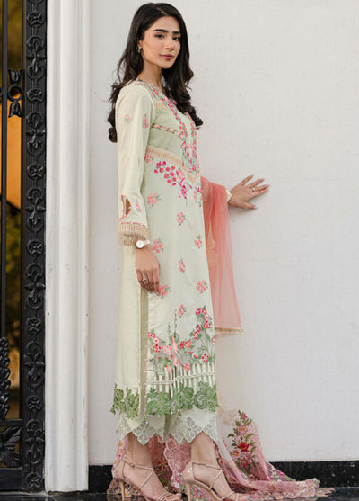 Rosemary And Ruffles by Asifa And Nabeel Luxury Lawn Collection 2024 RRL-07 Serene