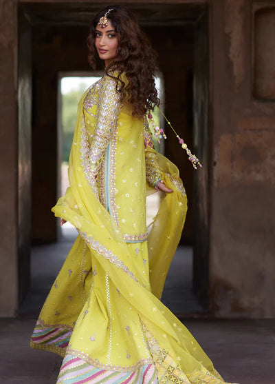 Shadmani by Qalamkar Luxury Formals Collection 2024 Dania