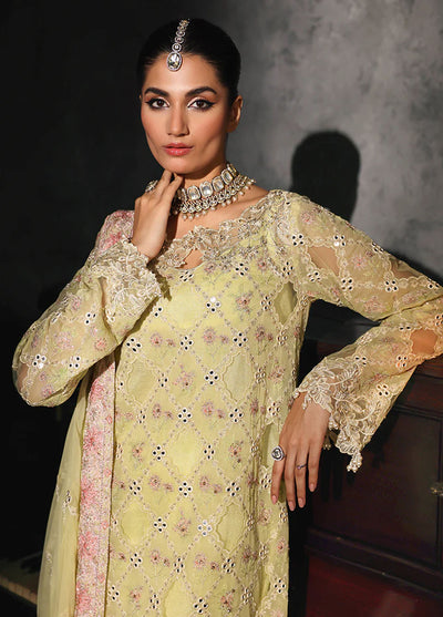 Sage By Rajbari Unstitched Formal Edit 2024 D-05 Ivy