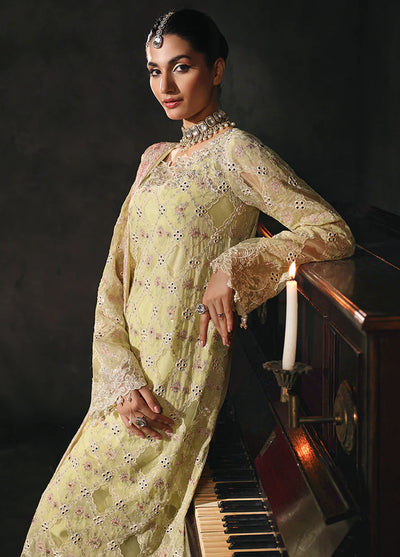 Sage By Rajbari Unstitched Formal Edit 2024 D-05 Ivy