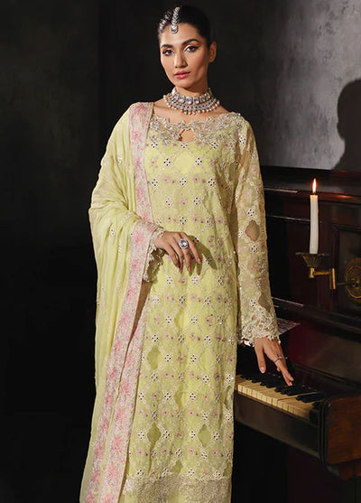 Sage By Rajbari Unstitched Formal Edit 2024 D-05 Ivy