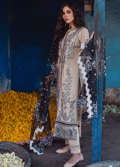 Sahakari by Sahane Chikankari Lawn Collection 2024 CT-10009 Ghazal