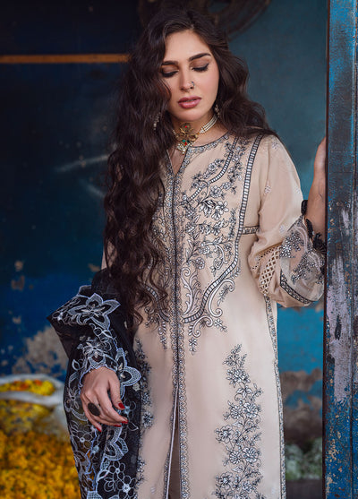 Sahakari by Sahane Chikankari Lawn Collection 2024 CT-10009 Ghazal