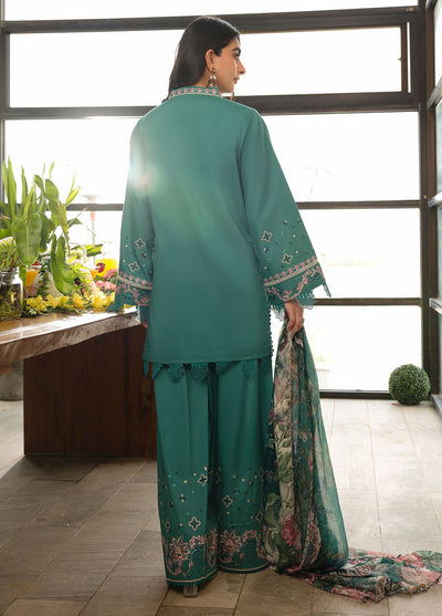 Sahane Embroidered Lawn Suits Unstitched 3 Piece SNE25IL CT-21004 Ameta