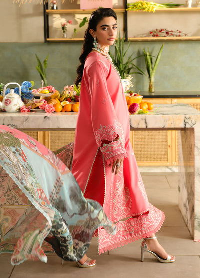 Sahane Embroidered Lawn Suits Unstitched 3 Piece SNE25IL CT-21006 Rosetta