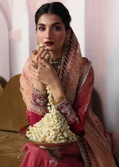 Sahane There She Glows Luxury Raw Silk Collection 2024 TSG-08 Ember
