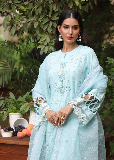 Salitex Embroidered Cambric Suits Unstitched 3 Piece UNS24CK015UT - Summer Collection