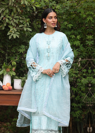 Salitex Embroidered Cambric Suits Unstitched 3 Piece UNS24CK015UT - Summer Collection