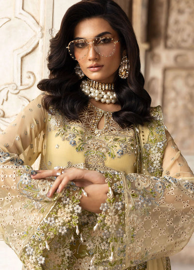 Sardinia Embroidered Chiffon Suits Unstitched 3 Piece SRD25CF D-1101 Haseena