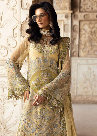 Sardinia Embroidered Chiffon Suits Unstitched 3 Piece SRD25CF D-1101 Haseena