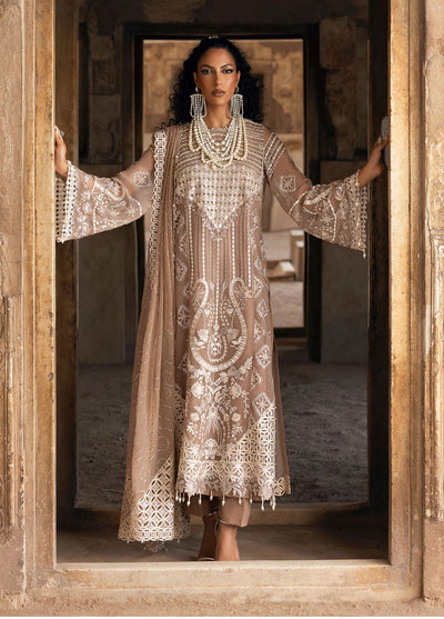 Sardinia Embroidered Chiffon Suits Unstitched 3 Piece SRD25CF D-1103 Divani