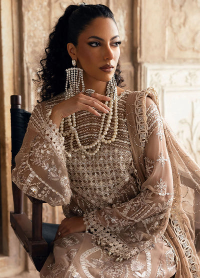 Sardinia Embroidered Chiffon Suits Unstitched 3 Piece SRD25CF D-1103 Divani