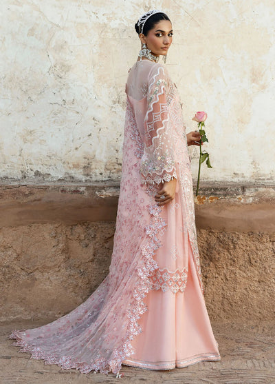 Sardinia Embroidered Chiffon Suits Unstitched 3 Piece SRD25CF D-1108 Sassi