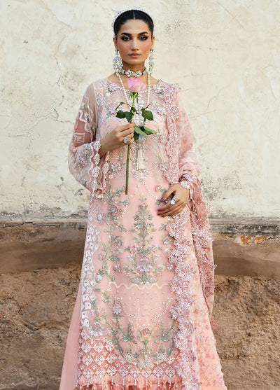 Sardinia Embroidered Chiffon Suits Unstitched 3 Piece SRD25CF D-1108 Sassi