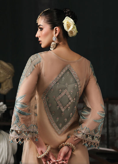 Sardinia Embroidered Organza Suits Unstitched 3 Piece D-1204 Nova