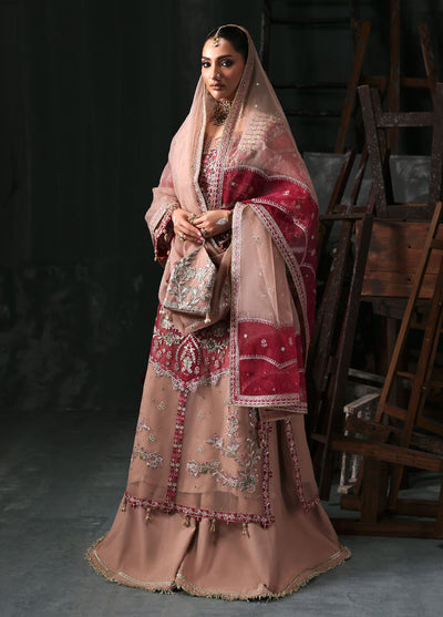 Sardinia Embroidered Organza Suits Unstitched 3 Piece D-1205 Elara