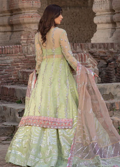 Mehak Yaqoob Pret Embroidered Organza 4 Piece Suit Dove