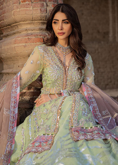 Mehak Yaqoob Pret Embroidered Organza 4 Piece Suit Dove