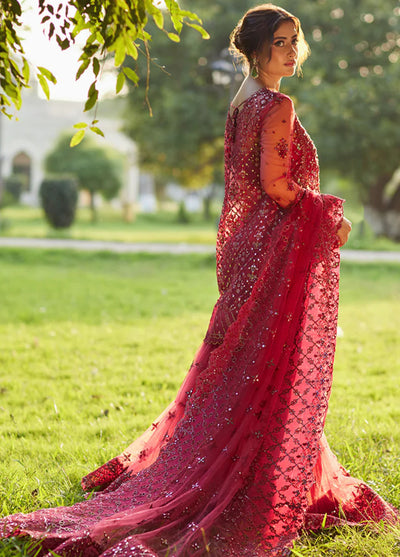 Shadmani by Qalamkar Luxury Formals Collection 2024 Nurah