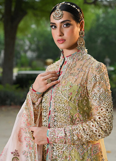 Singhar By Qalamkar Unstitched Wedding Formals Collection 2024 RF-07 Halena