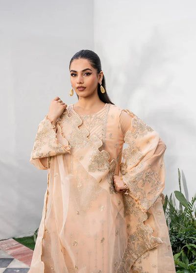 Tarz by Freesia Premium Embroidered Chiffon Suits Unstitched 3 Piece FRE25T FW-40049 Radin