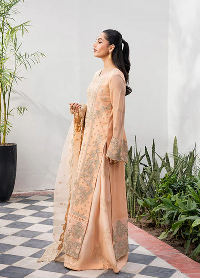 Tarz by Freesia Premium Embroidered Chiffon Suits Unstitched 3 Piece FRE25T FW-40049 Radin