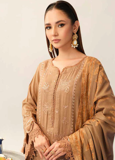 Tehzeeb By Riaz Arts Emb Leather Peach Winter Collection 2024 TL-321