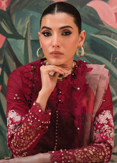 The Painted Garden by Afrozeh Eid Festive Lawn Collection 2024 D-06 Dahlia Dusk