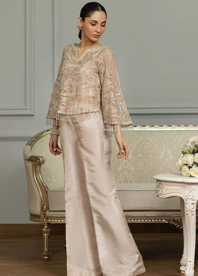 Threads And Motifs Pret Embroidered Net Shirt 8707