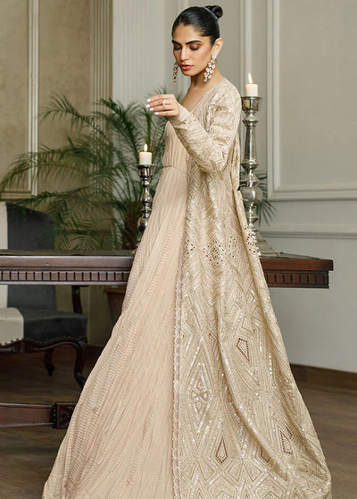 Threads & Motifs Pret Embroidered Organza Jacket Dress 8395