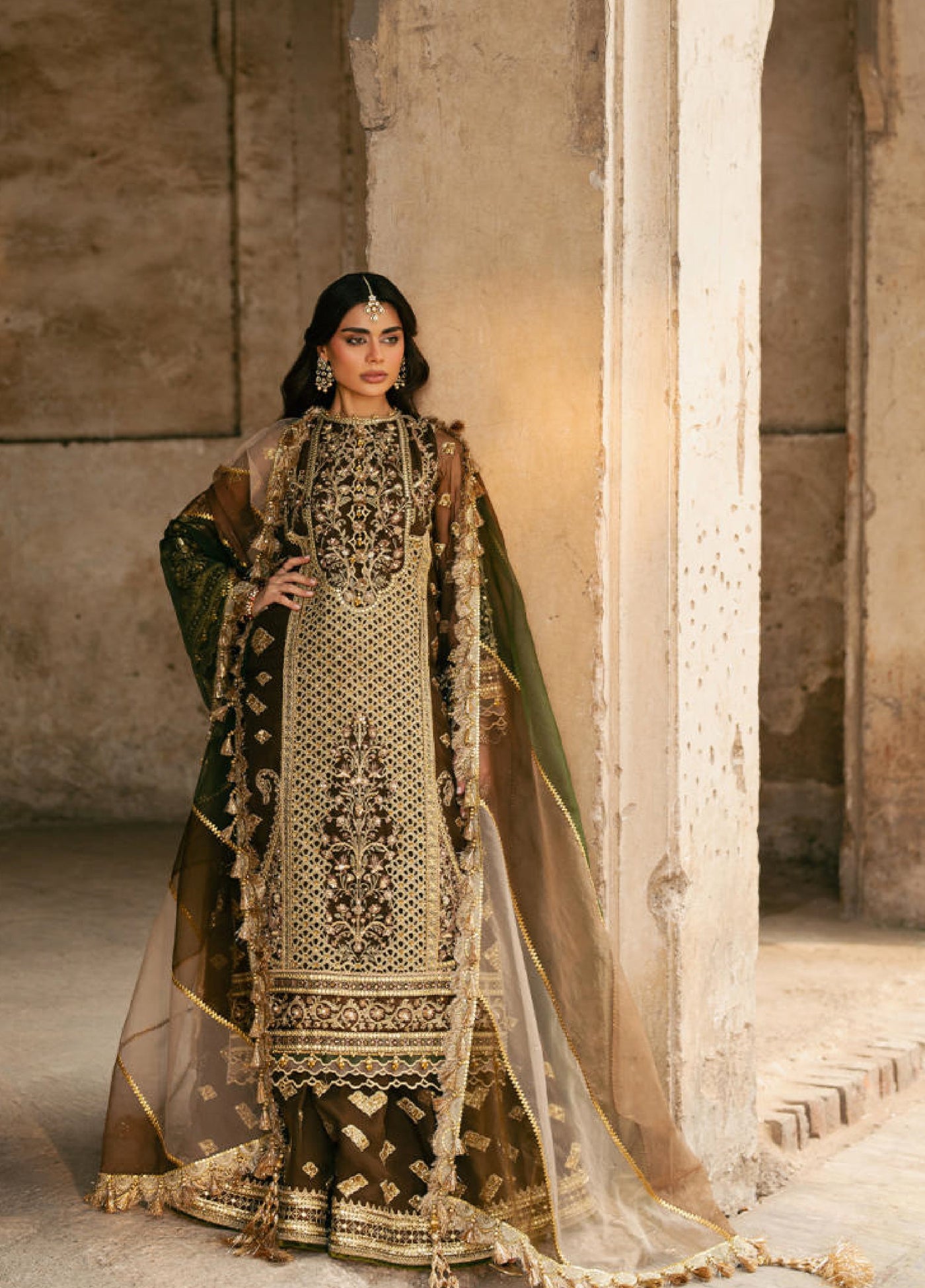 Zarlish Makhfi by Mohsin Naveed Ranjha Unstitched Embroidered Organza Suits 3 Piece MNR25ZM Tabeer - Festive Collection