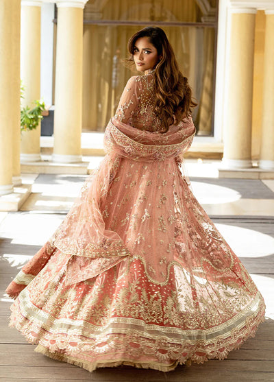 Darling by Mushq Unstitched Embroidered Net 4 Piece Suits MU25DW Naina - Wedding Collection