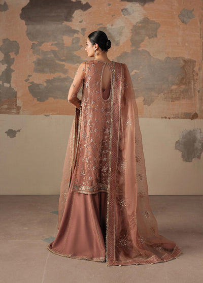 Solaris by Ayzel Unstitched Formals Organza Suits 3 Piece AAF25SW Rosara - Wedding Collection