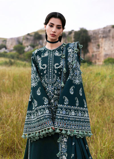 Hussain Rehar Embroidered Khaddar Suits Unstitched 3 Piece HRR25KW Johar - Winter Collection