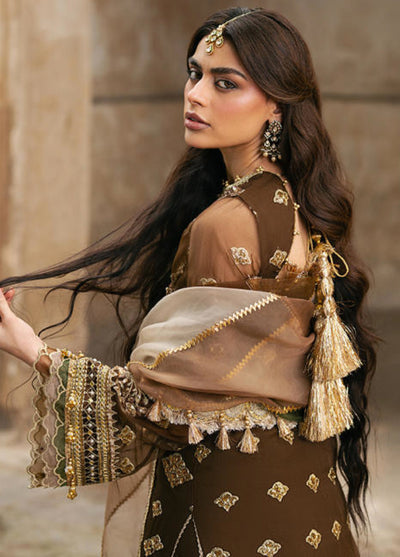 Zarlish Makhfi by Mohsin Naveed Ranjha Unstitched Embroidered Organza Suits 3 Piece MNR25ZM Tabeer - Festive Collection