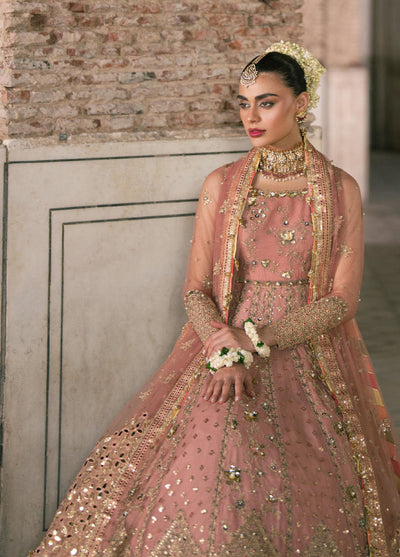 Zarlish Makhfi by Mohsin Naveed Ranjha Unstitched Embroidered Net Suits 3 Piece MNR25ZM Khusboo - Festive Collection