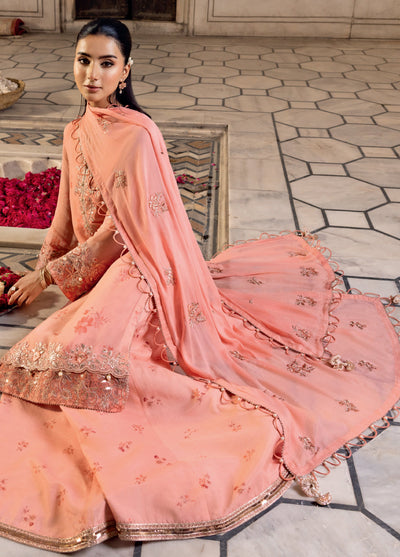 M basics by Maria B Unstitched Organza Embroidered Suits 3 Piece MB25WF D-807 Coral - Winter Collection