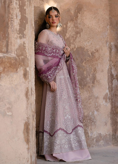 Xenia Formal Unstitched Luxury Chiffon Suits 3 Piece XE25FL Ayzal - Formals Collection