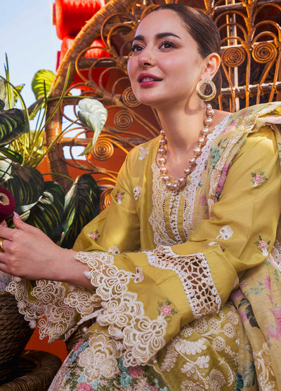 Hai Kuch By Elaf Festive Lawn Collection 2024 EHK-2B Nargis