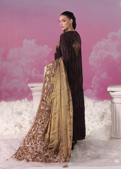 Mount Olypus by Musferah Saad Pret Embroidered Velvet 2 Piece Bronze Legacy - Pret Collection