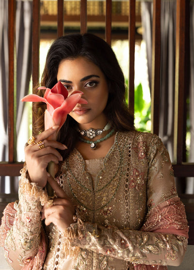 Saira Rizwan Unstitched Tissue Embroidered Suits 3 Piece SR25UF SRF25-03 Rohana - Formal Collection