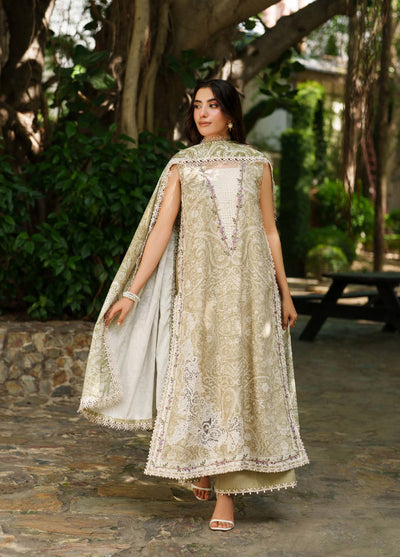 Meraki by Asifa And Nabeel Unstitched Viscose Embroidered Suits 3 Piece AN25MW ANM-09-Frozen Dew - Casual Collection