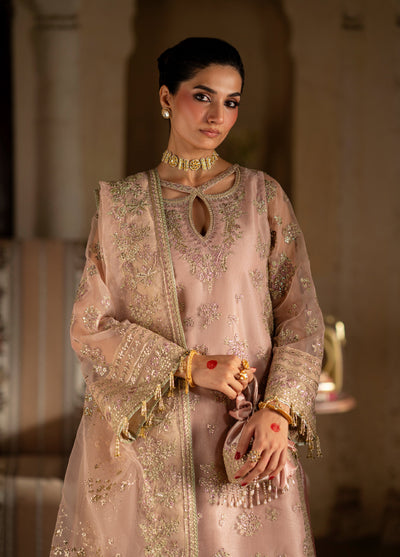 Dastan E Ishq by Ajr Festive Embroidered Unstitched Net 3 Piece Suits AJR25DI D-4 Zehra - Formals Collection