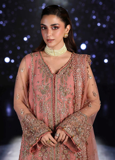 Stardom by Elaf Unstitched Luxury Formals Embroidered Net 3 Piece Suits  EL25SF D-ESH-05 Beyond Beauty - Formal Collection